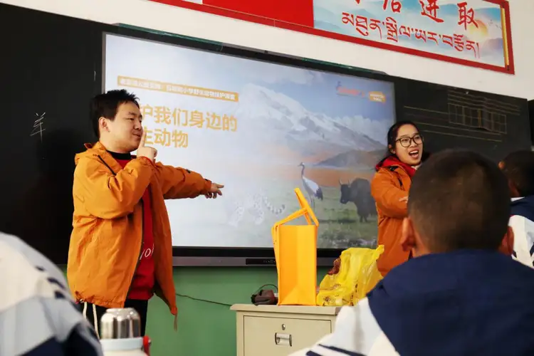 互动课程：沉浸式体验，在动手与探索中拓展认知